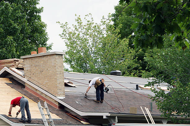 Best Roof Leak Repair  in Morningside, MD